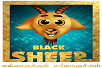Black Sheep Tv